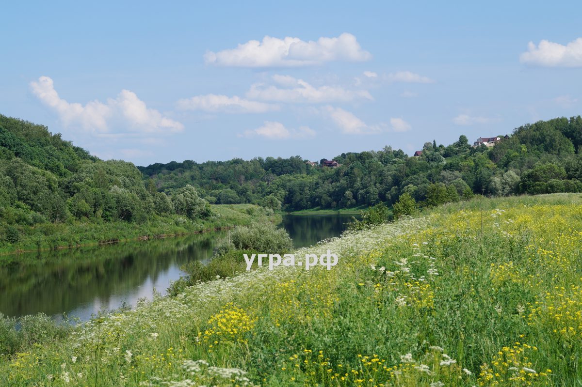 деревня Матово река Угра фото лето Барский пляж